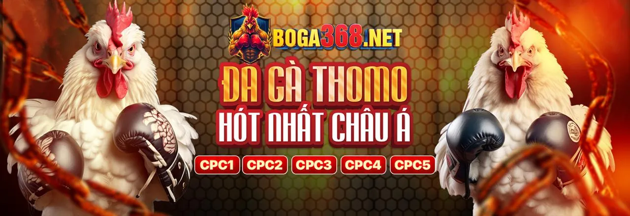 Sân đấu đá gà trực tuyến DV88 sôi động